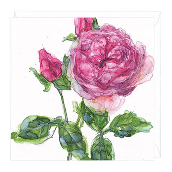 Card Heritage English Rose